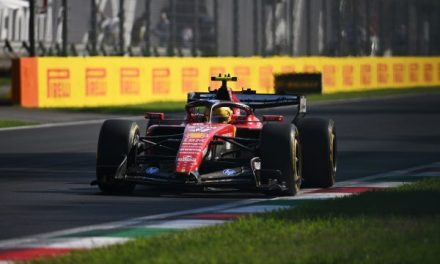 Hamilton: Sad je kasno za timske odredbe